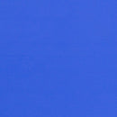 35''W x 65''L Half-Moon Blue Plastic Height Adjustable Activity Table