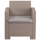 Light Gray Faux Rattan Chair with All-Weather Light Gray Cushion