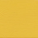 Charlestown All-Weather Poly Resin Wood Adirondack Chair in Yellow