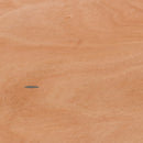 5-Foot Half-Round Wood Folding Banquet Table